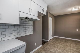 Photo 19: 12824 87 Street in Edmonton: Zone 02 House Duplex for sale : MLS®# E4341078
