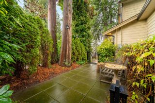 Photo 37: 3359 CHESTERFIELD AVENUE in NORTH VANC: Upper Lonsdale House for sale (North Vancouver)  : MLS®# R2838862