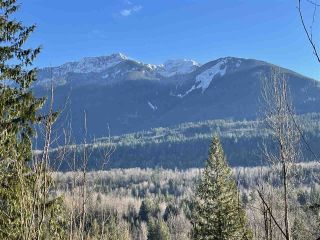 Photo 1: 4149 SLESSE Road in Chilliwack: Chilliwack River Valley Land for sale (Sardis)  : MLS®# R2529886