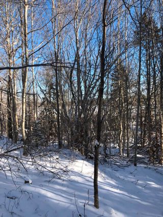 Photo 14: Lot 5 Lakeview Drive in Lake La Rose: Annapolis County Vacant Land for sale (Annapolis Valley)  : MLS®# 202300542