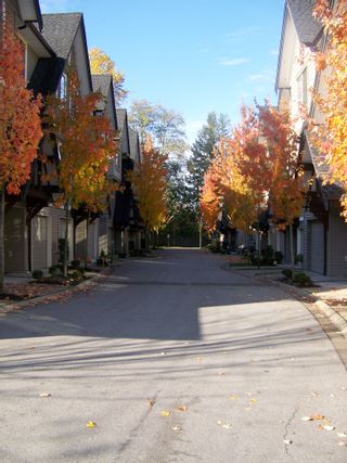 Photo 14: 50 15152 62A Avenue in Surrey: Sullivan Station Townhouse for sale in "Uplands at Panorama Place" : MLS®# F1127411