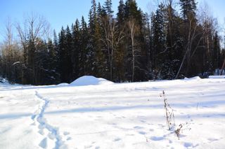 Photo 6: LOT A W 16 Highway in Smithers: Smithers - Town Land for sale (Smithers And Area (Zone 54))  : MLS®# R2533470