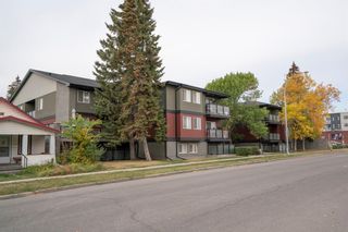 Photo 29: 202 1915 26 Street SW in Calgary: Killarney/Glengarry Apartment for sale : MLS®# A2017761