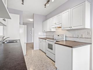 Photo 17: 134 Shannon Estates Terrace SW in Calgary: Shawnessy Semi Detached (Half Duplex) for sale : MLS®# A2012424