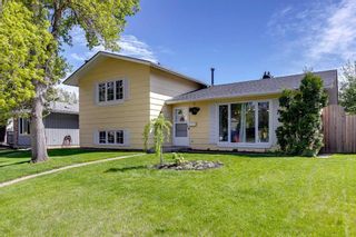 Main Photo: 263 Midlawn Close SE in Calgary: Midnapore Detached for sale : MLS®# A2137036
