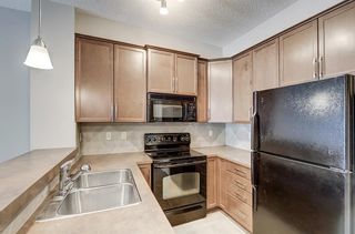 Photo 12: 111 37 Prestwick Drive SE in Calgary: McKenzie Towne Apartment for sale : MLS®# A2030274