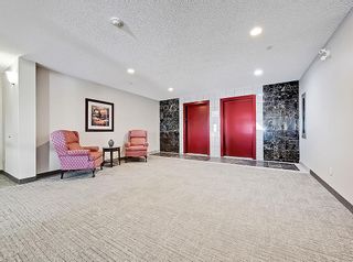 Photo 20: 207 8 Prestwick Pond Terrace SE in Calgary: McKenzie Towne Apartment for sale : MLS®# A2027991