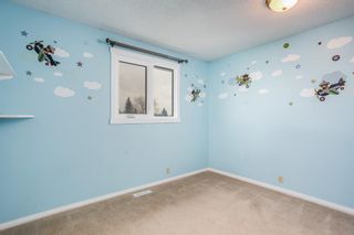 Photo 16: 16 Abalone Crescent NE in Calgary: Abbeydale Detached for sale : MLS®# A1164706