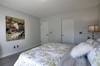 Photo 23: 210 EDGEDALE Place NW in Calgary: Edgemont Semi Detached for sale : MLS®# A1032699