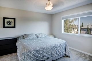 Photo 14: 21 CITADEL CREST Place NW in Calgary: Citadel Detached for sale : MLS®# C4197378