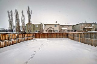 Photo 33: 142 COPPERSTONE Crescent SE in Calgary: Copperfield Detached for sale : MLS®# A2116829