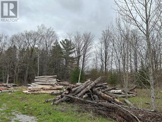 Photo 12: 2616 COUNTY ROAD 121 ROAD in Burnt River: Vacant Land for sale : MLS®# 1341523