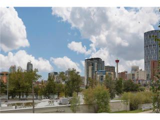 Photo 2: 202 414 MEREDITH Road NE in Calgary: Crescent Heights Condo for sale : MLS®# C4031332