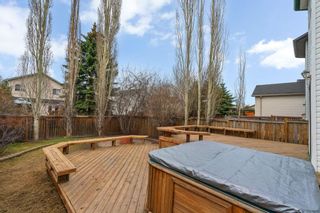 Photo 37: 72 Mt Apex Green SE in Calgary: McKenzie Lake Detached for sale : MLS®# A2126594