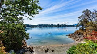 Photo 63: 11468 Chalet Rd in North Saanich: NS Deep Cove House for sale : MLS®# 941289