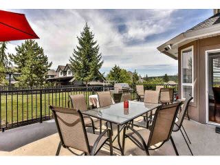 Photo 17: 17045 Greenway Drive in Waterford Estates: Home for sale : MLS®# F1448750