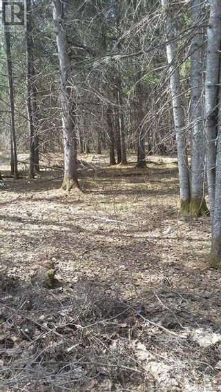 Photo 10: Lot Hwy 8 McCarthy Flats in Ludlow: Vacant Land for sale : MLS®# NB083016