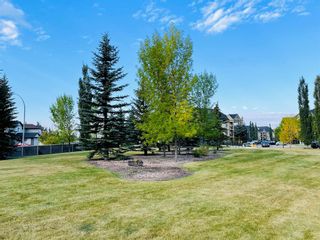 Photo 4: 218 52 Cranfield Link SE in Calgary: Cranston Apartment for sale : MLS®# A2003728