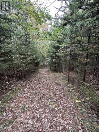 Photo 5: Lot 17 Ridgeview Drive in New Germany: Vacant Land for sale : MLS®# 202321567
