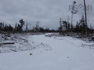 Photo 13: Gunn Road in East Branch: 108-Rural Pictou County Vacant Land for sale (Northern Region)  : MLS®# 202200105