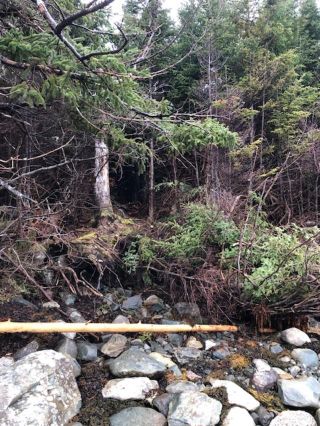 Photo 8: Lot A English Point Road in Head Of Jeddore: 35-Halifax County East Vacant Land for sale (Halifax-Dartmouth)  : MLS®# 202318250