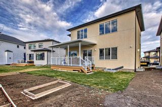 Photo 44: 116 SANDPIPER Landing: Chestermere Detached for sale : MLS®# A2093096