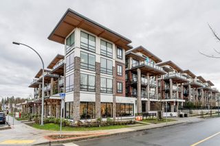 Photo 1: 216 12460 191 Street in Pitt Meadows: Mid Meadows Condo for sale in "ORION" : MLS®# R2751518