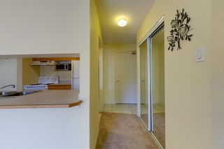 Photo 16: 341 200 Richard Street: Fort McMurray Apartment for sale : MLS®# A1259256