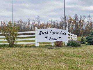Photo 1: #9 North Pigeon Lake Estates: Rural Wetaskiwin County Rural Land/Vacant Lot for sale : MLS®# E4265016