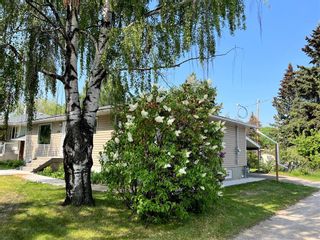Photo 3: 5116 56 Avenue: Olds Detached for sale : MLS®# A2052052