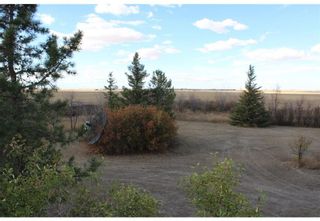 Photo 44: 182044 804 Highway: Rural Vulcan County Detached for sale : MLS®# A2020669