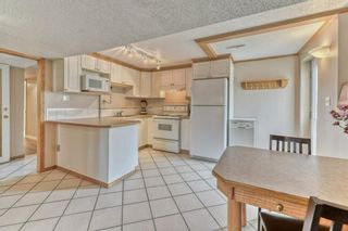 Photo 23: 703 Alderwood Place SE in Calgary: Acadia Detached for sale : MLS®# A1170913