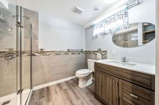 Photo 17: 2015 Vaughan Street NE in Calgary: Vista Heights Detached for sale : MLS®# A2011376