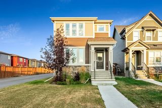 Photo 43: 722 Belmont Drive SW in Calgary: Belmont Detached for sale : MLS®# A2003439
