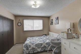 Photo 9: 53 & 55 Dovercliffe Way SE in Calgary: Dover Duplex for sale : MLS®# A1178005