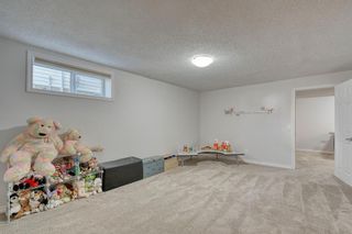 Photo 43: 358 Coventry Circle NE in Calgary: Coventry Hills Detached for sale : MLS®# A1091760
