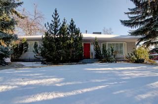 Main Photo: 3838 12 Street SW in Calgary: Elbow Park Detached for sale : MLS®# A2031729