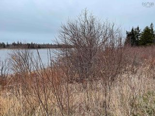 Photo 10: 11-1Z Galt Pond Road in Lower Barneys River: 108-Rural Pictou County Vacant Land for sale (Northern Region)  : MLS®# 202307500
