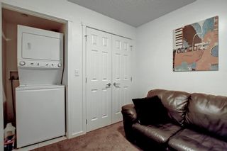 Photo 25: 5111 279 Copperpond Common SE in Calgary: Copperfield Apartment for sale : MLS®# A1209929