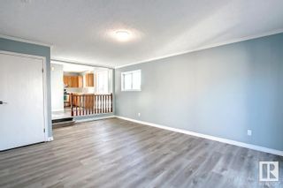 Photo 34: 10521 29A Avenue in Edmonton: Zone 16 House for sale : MLS®# E4305631