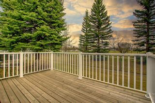 Photo 46: 54 Douglasbank Gardens SE in Calgary: Douglasdale/Glen Semi Detached for sale : MLS®# A1212920