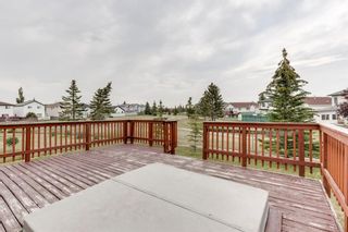 Photo 40: 47 San Diego Place NE in Calgary: Monterey Park Detached for sale : MLS®# A1244749