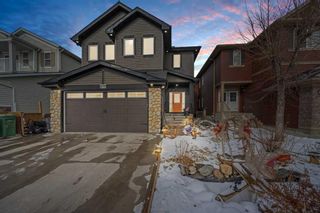 Photo 1: 286 Taravista Drive NE in Calgary: Taradale Detached for sale : MLS®# A2111016