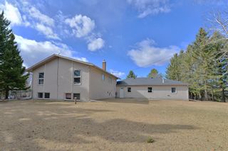 Photo 4: 24138 Meadow Drive NW in Rural Rocky View County: Rural Rocky View MD Detached for sale : MLS®# A1202678