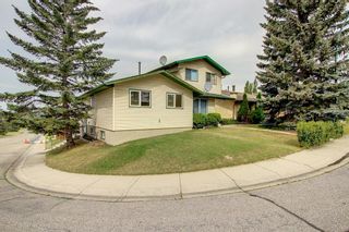 Photo 46: 121 Mckinnon Crescent NE in Calgary: Mayland Heights Semi Detached (Half Duplex) for sale : MLS®# A1245207
