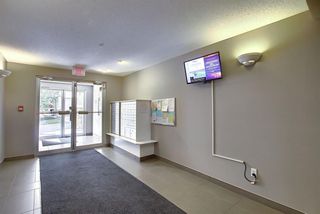 Photo 28: 8307 70 Panamount Drive NW in Calgary: Panorama Hills Apartment for sale : MLS®# A1087001