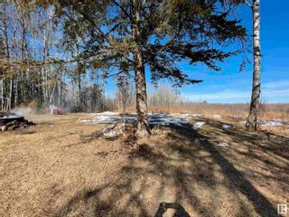 Photo 6: 53415 RGE RD 40 A: Rural Parkland County Manufactured Home for sale : MLS®# E4335926