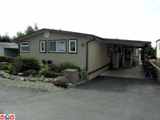 Main Photo: 81 27111 0 Avenue in Langley: Otter District Manufactured Home for sale : MLS®# F1213109