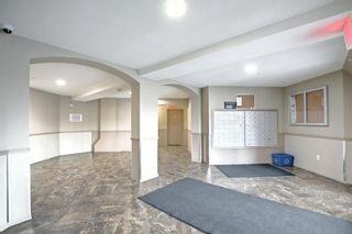 Photo 4: 1325 60 Panatella Street NW in Calgary: Panorama Hills Apartment for sale : MLS®# A1163274