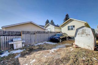 Photo 33: 51 Erin Grove Place SE in Calgary: Erin Woods Detached for sale : MLS®# A1180419